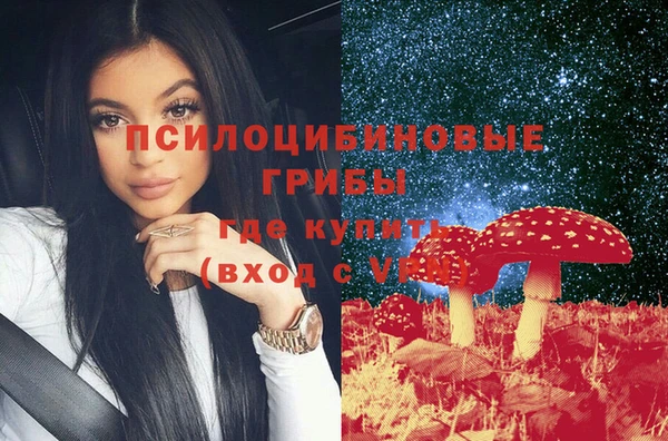 соль ск Алексин