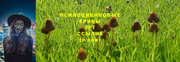 скорость mdpv Алзамай