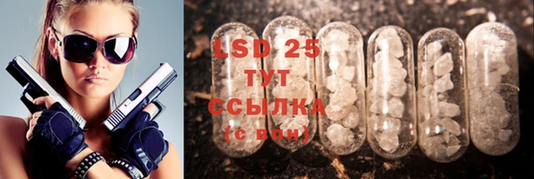 соль ск Алексин