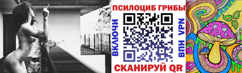 купить   мега маркетплейс  Псилоцибиновые грибы Psilocybe  Кукмор 